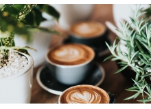 KET词汇速记：学校生活高频词